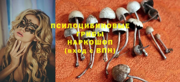 первитин Инта